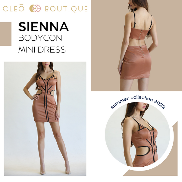 Sienna Bodycon Mini Dress