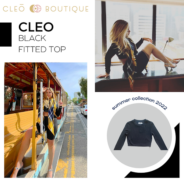 Cleo Black Long Sleeve Fitted Top